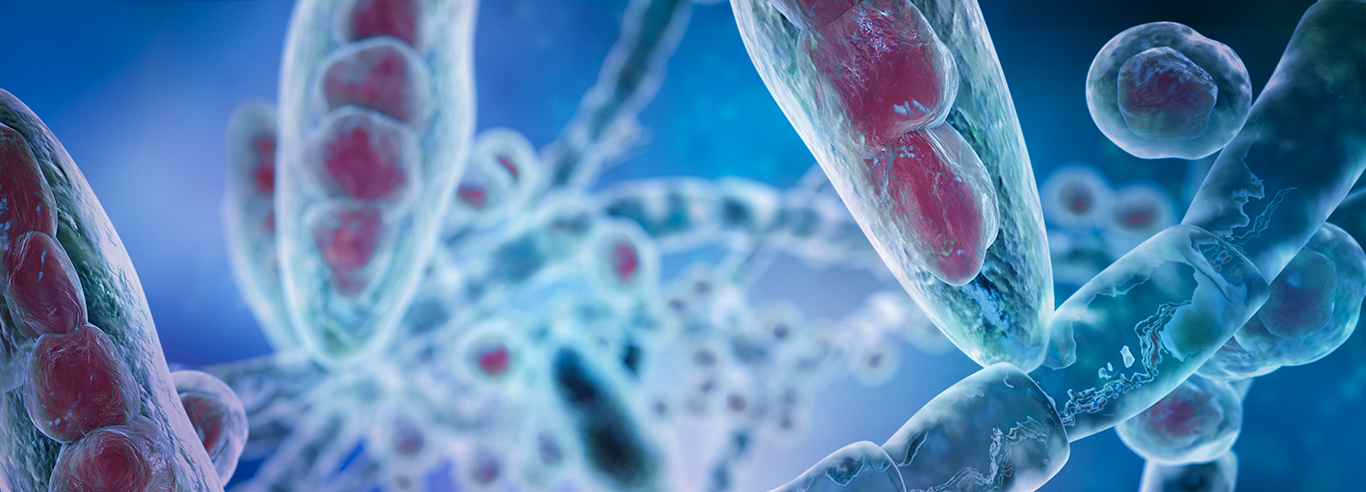 Deep Dermatophytosis The AFWG