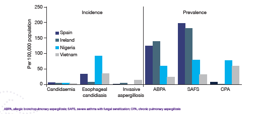 Incidence and prevalence of selected invasive mycoses, selected countries