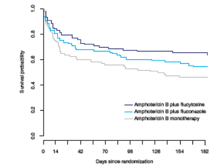 Kaplan-Meier survival estimates according to treatment groups